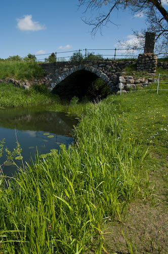 Saxån