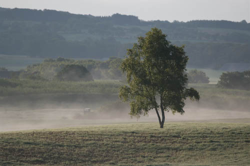 Häckeberga