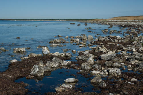 Kämpinge strand