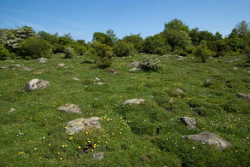 Svabesholm