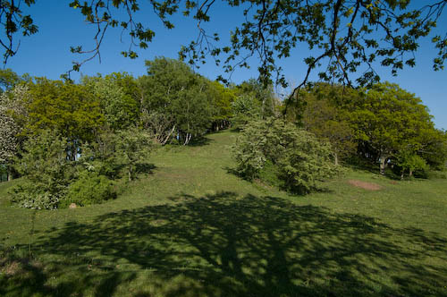 Lunnarps naturreservat