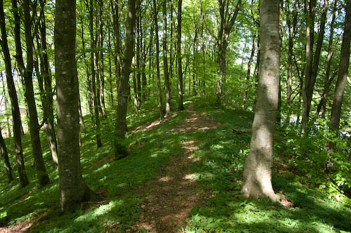 Munkarps jär