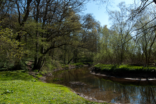 Råån vid Vallåkra