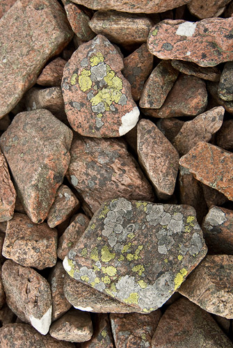Bjärekusten