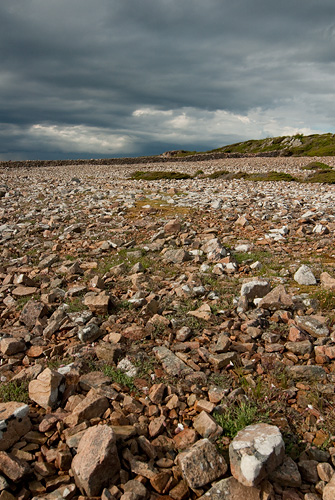 Bjärekust