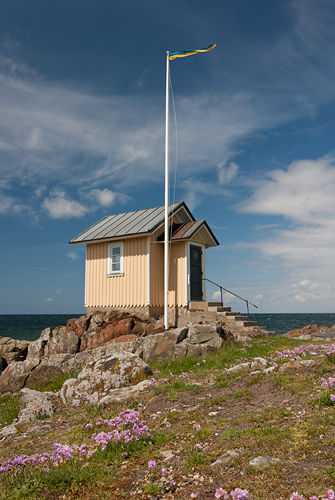 Lotsutkiken