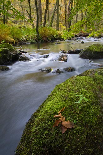 Söderåsens nationalpark