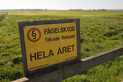 Vombs ängar