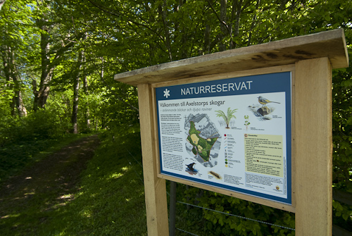 Axelstorps skogar