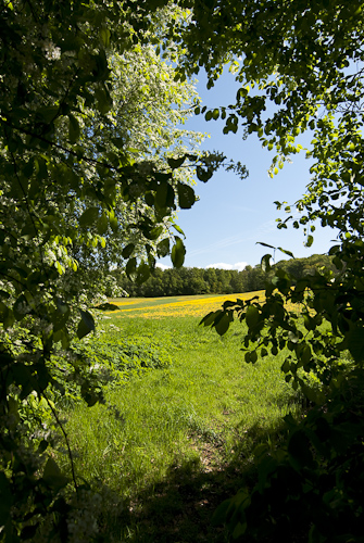 Hallandsåsen