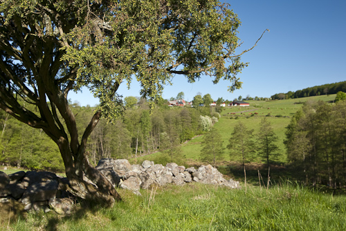 Sinarpsdalen