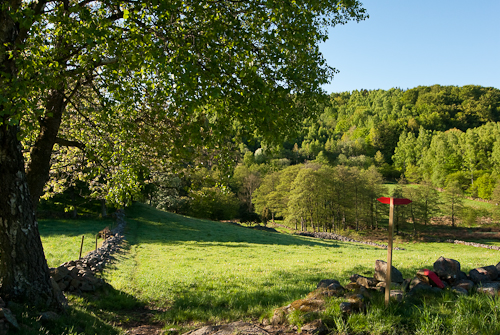 Sinarpsdalen