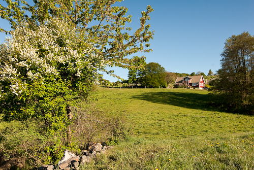 Sinarpsdalen