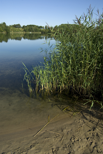 Tvedöra