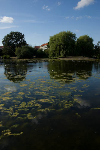 Pildammsparken