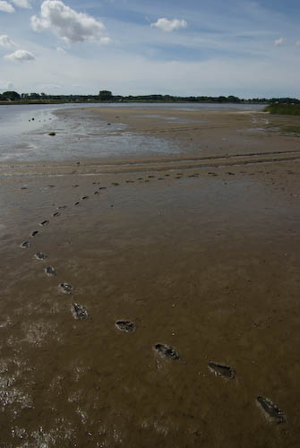 Sandön
