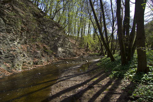 Rövarkulan