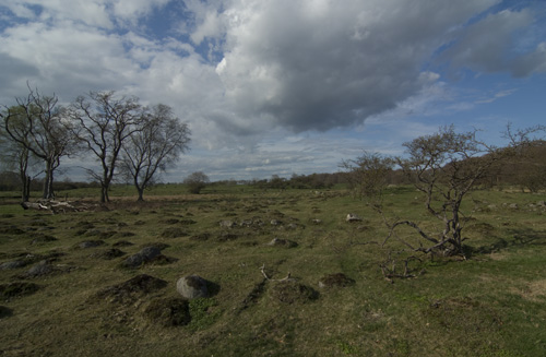 Kronovalls storevång