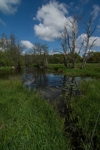 Herrevadskloster