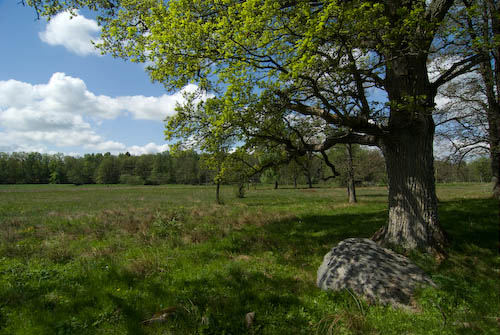 Herrevadskloster
