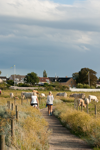 Flommen, Skanör