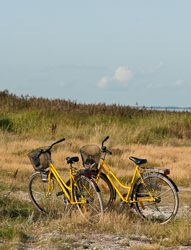 Cyklar