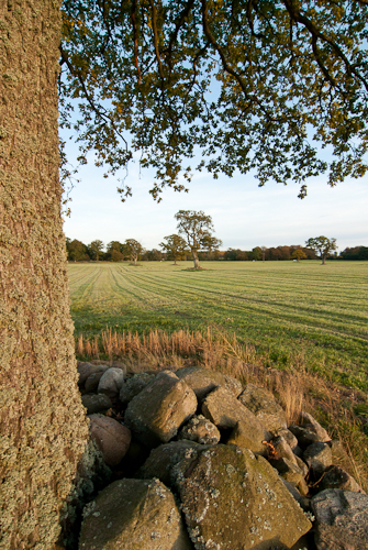 Knutstorp