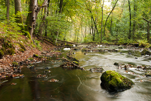 Söderåsens nationalpark