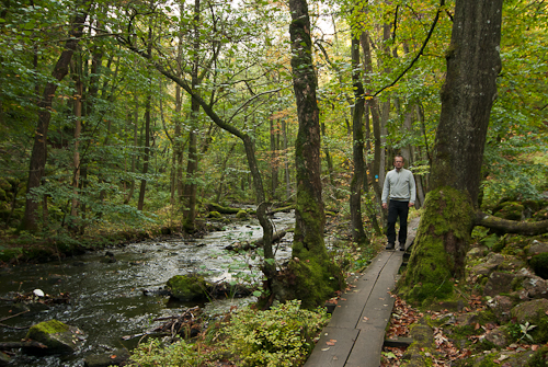Söderåsens nationalpark