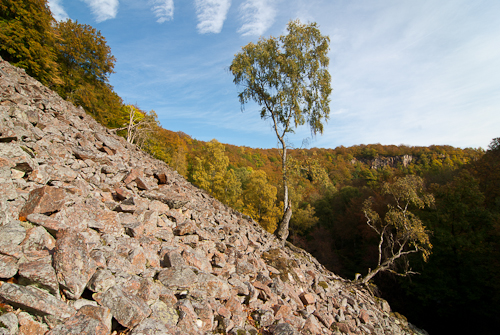 Söderåsens nationalpark