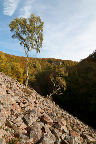 Söderåsens nationalpark