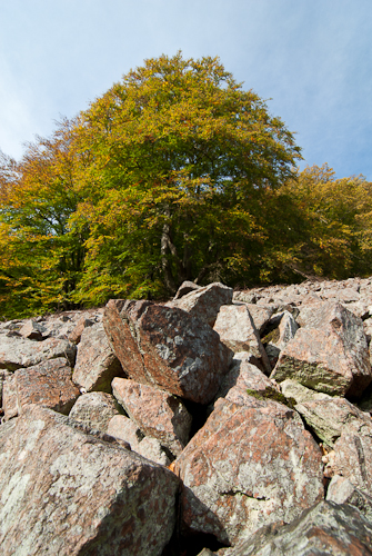 Söderåsens nationalpark
