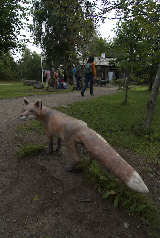 Skrylle naturum