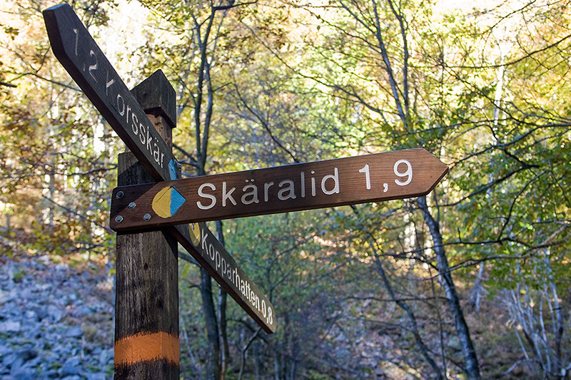 Vägval