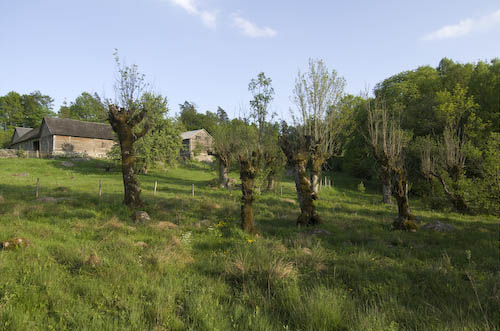 Sporrakulla