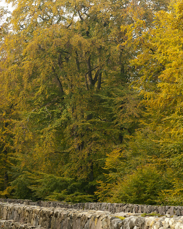 Maltesholm